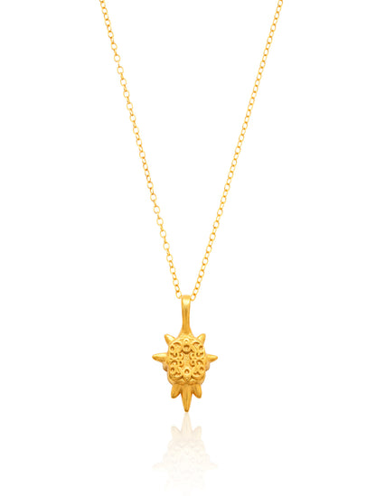 Northen star Necklace